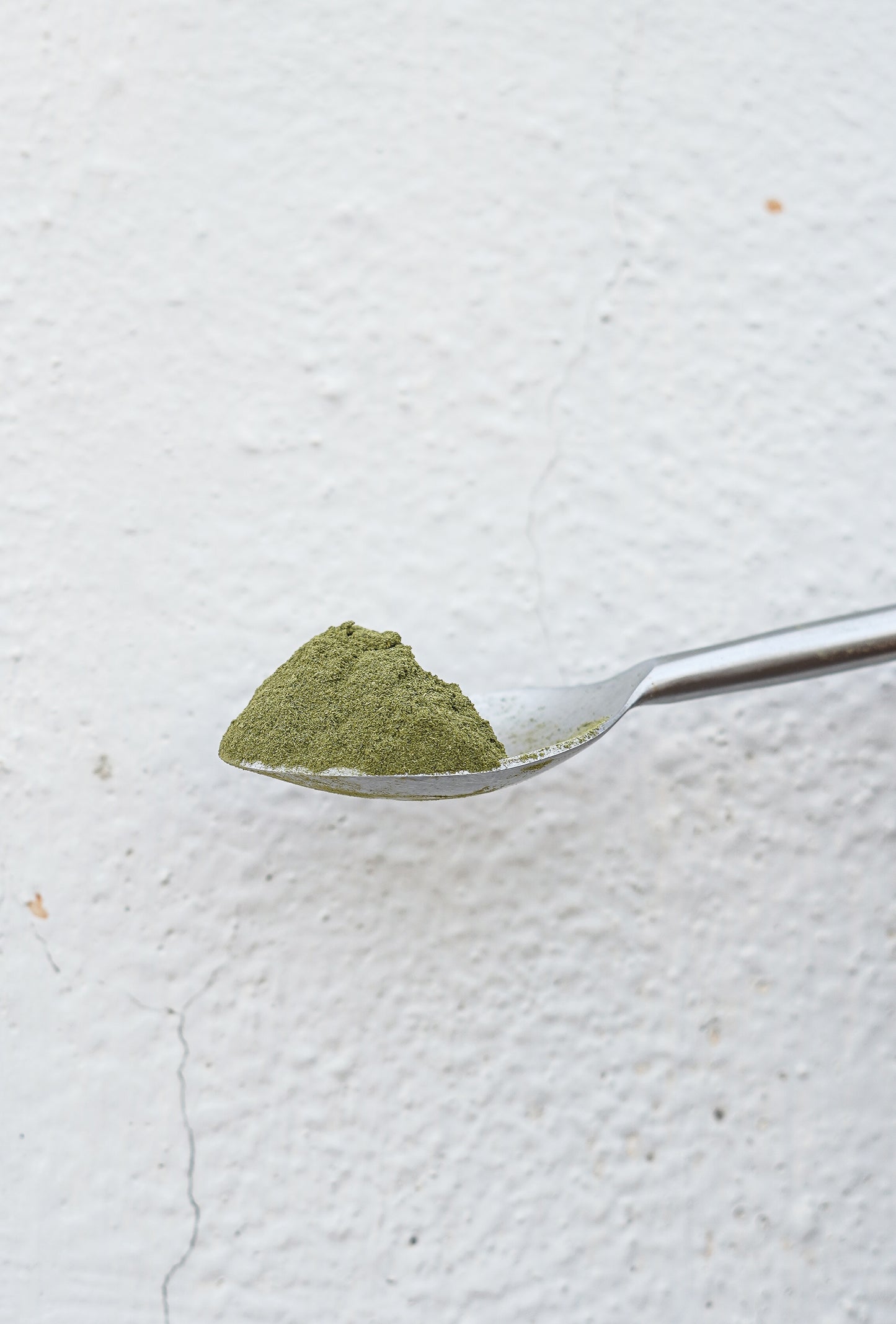 Curry Leaf Powder