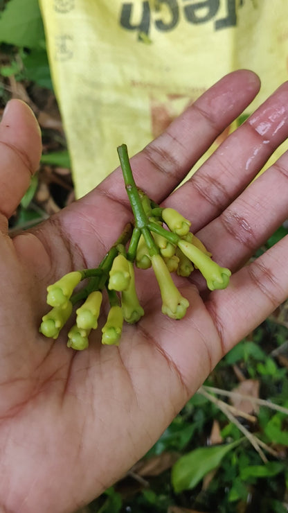 Whole Cloves